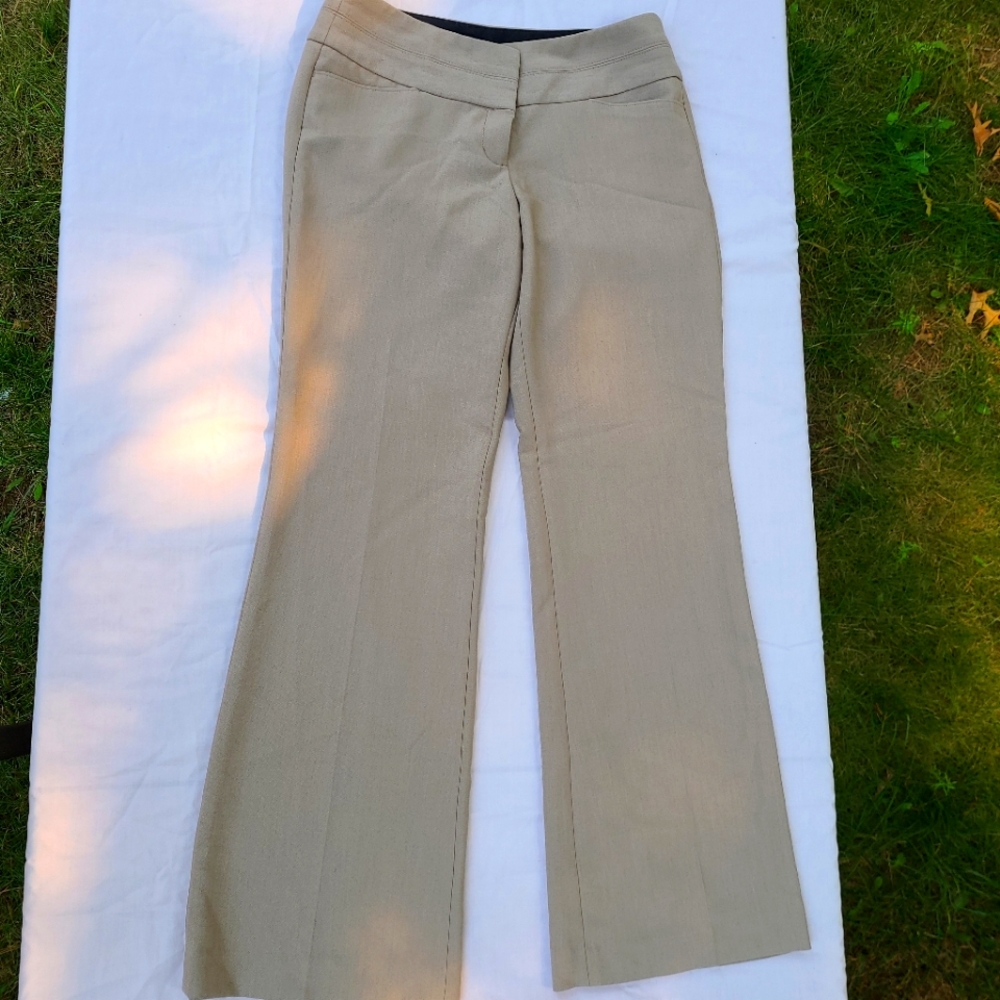Express pants,  boot cut